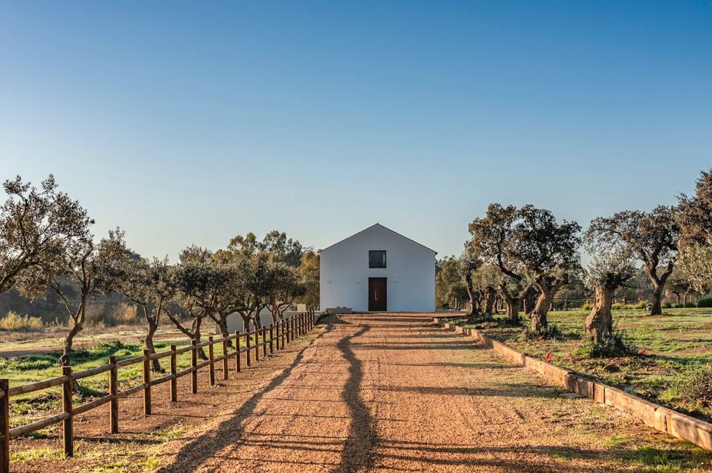 Casa Beja Artes Alentejo Olivers Travels 2