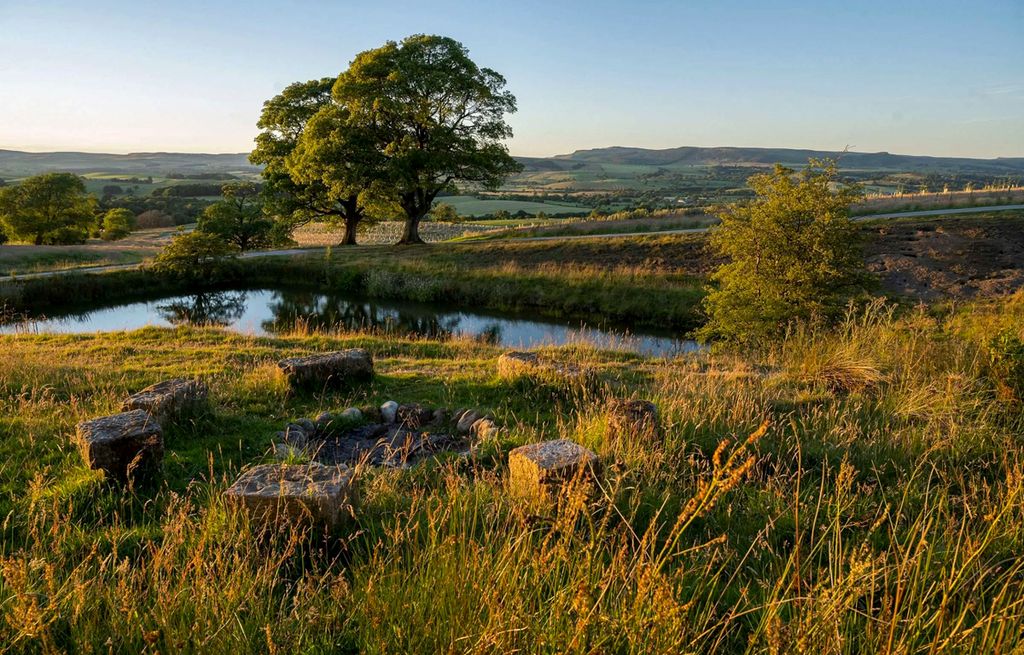 Hawks Nest Yorkshire Olivers Travels 5