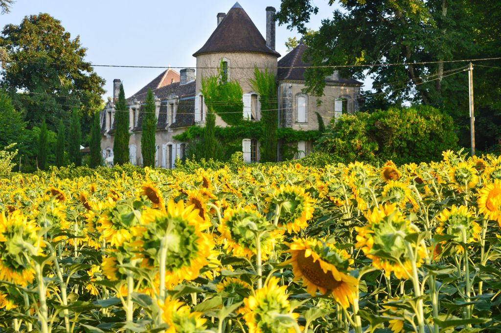 Chateau Guygaudie Dordogne Olivers Travels 5