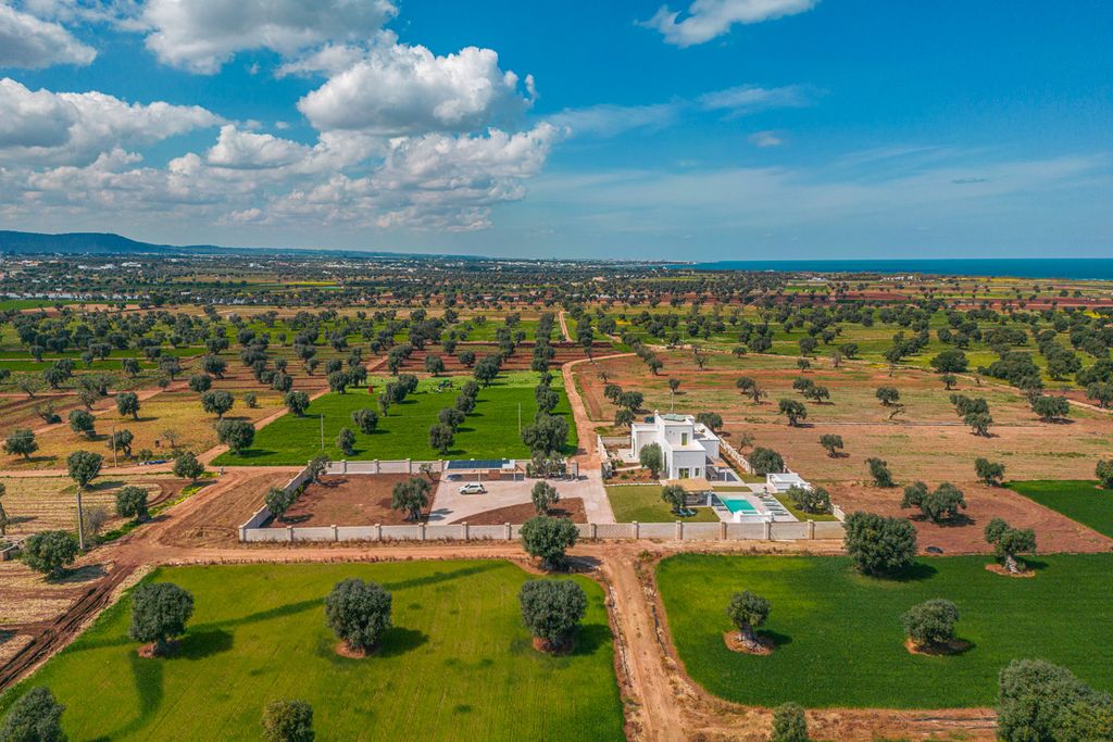 Masseria Marefuori Puglia Olivers Travels 02