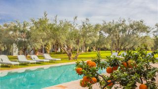 Dar Ghiat Marrakech Olivers Travels 1