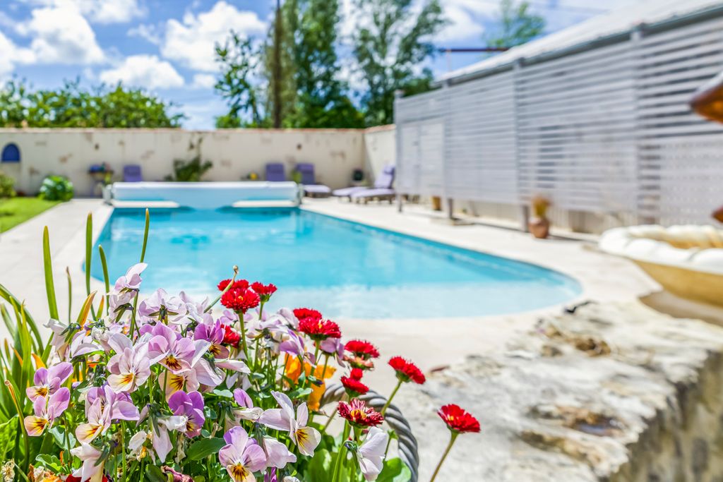 La Cigogne Olivers Travels 1 5