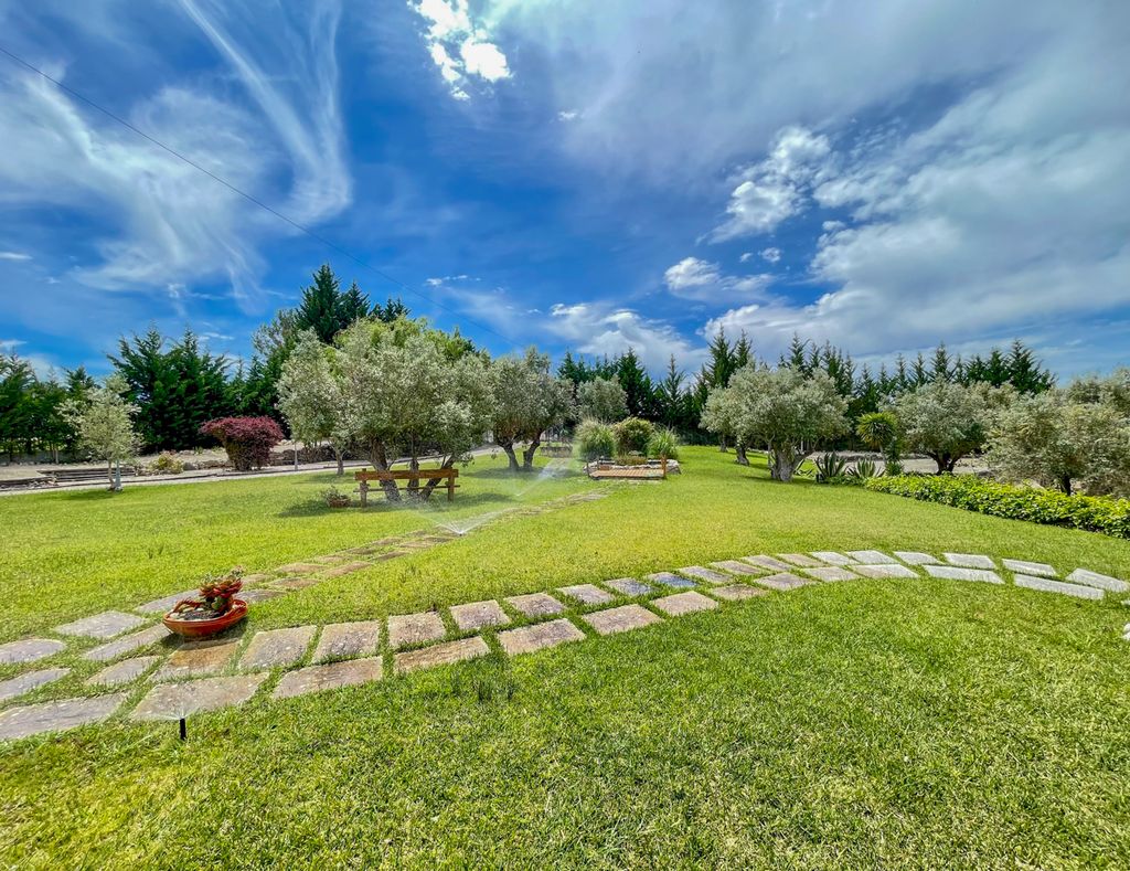 Villa Povoa Portugal Olivers Travels 2