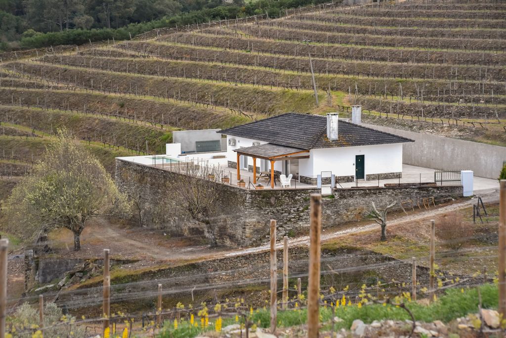 Villa Portela Douro Olivers Travels 2