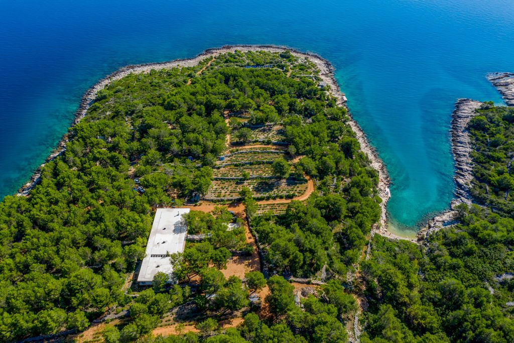 Villa Clasa Hvar Olivers Travels 2