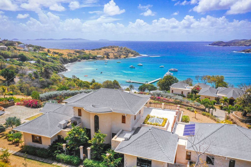 Coral Grenadine Grenadine Hills St Vincent Olivers Travels 1