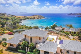 Coral Grenadine Grenadine Hills St Vincent Olivers Travels 1