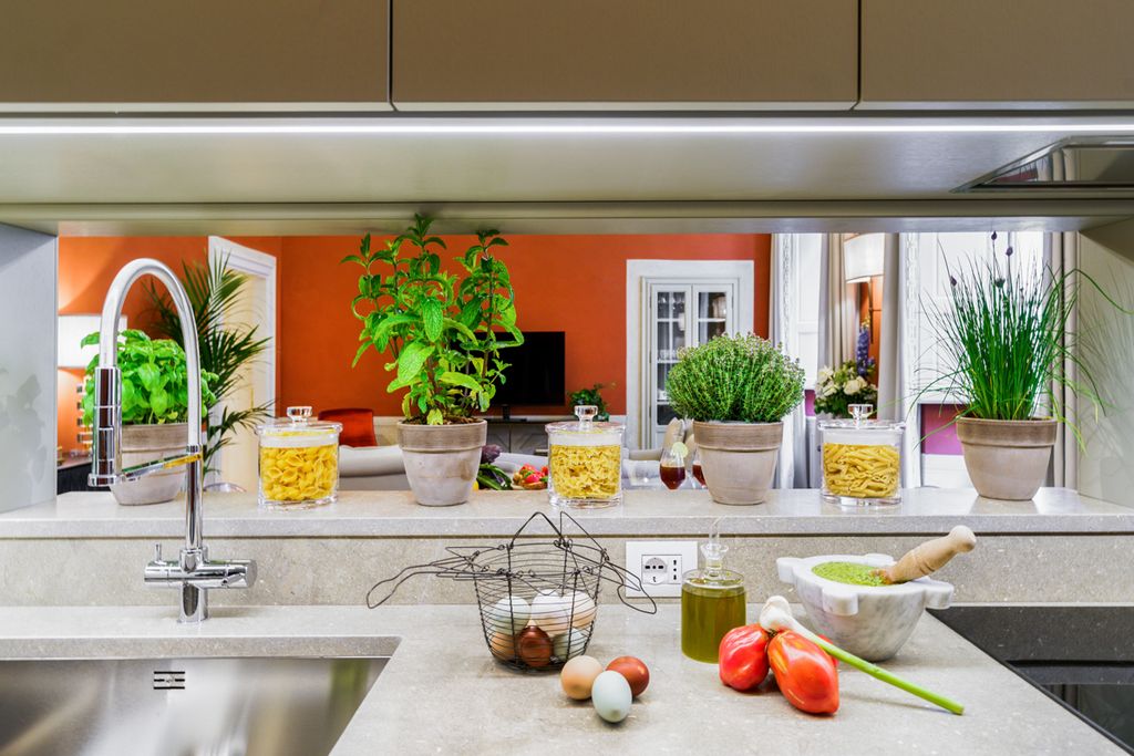 Apartment Lippi Florence Olivers Travels 5