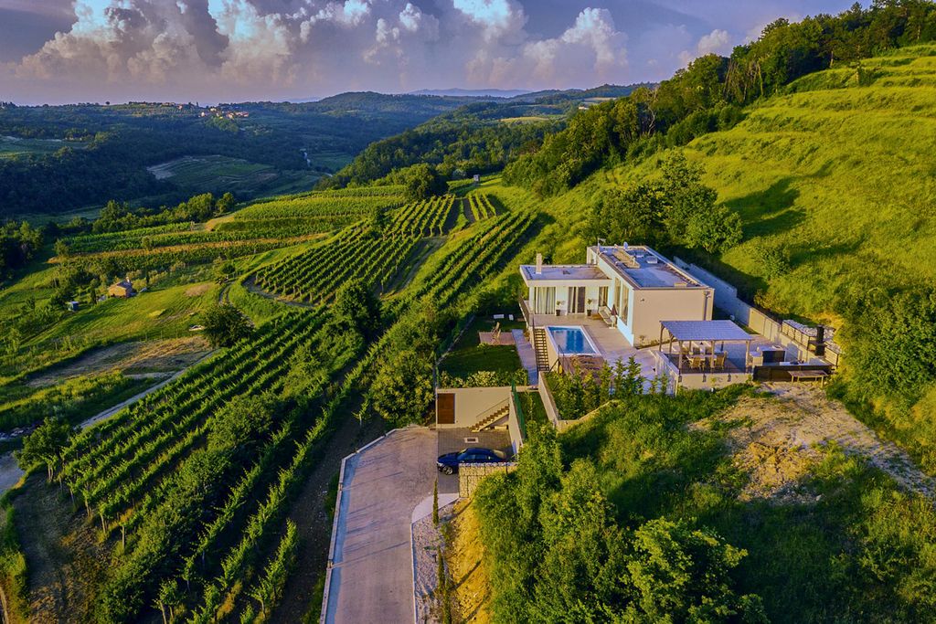 Villa Layana Istria Olivers Travels 1