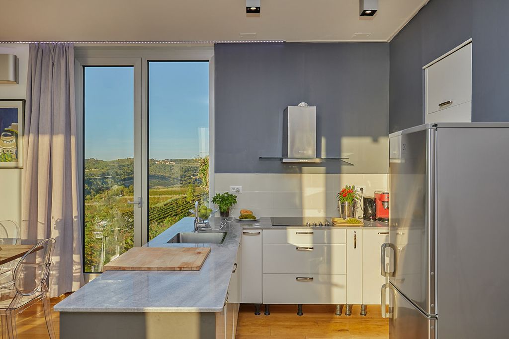 Villa Layana Istria Olivers Travels 4