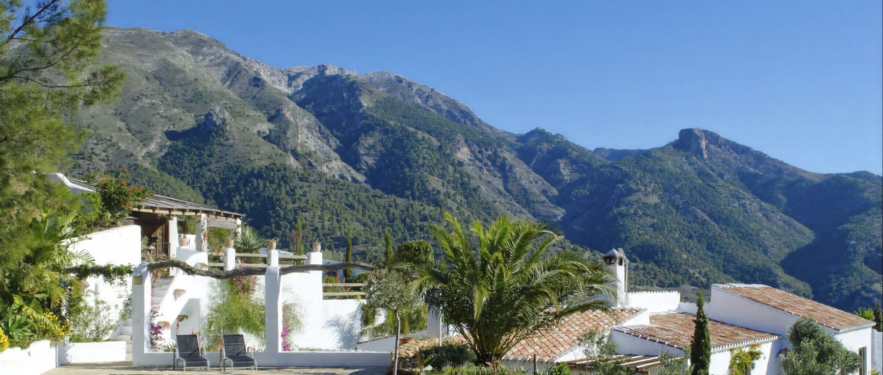 001 blanco de caza southern spain olivers travels desktop center