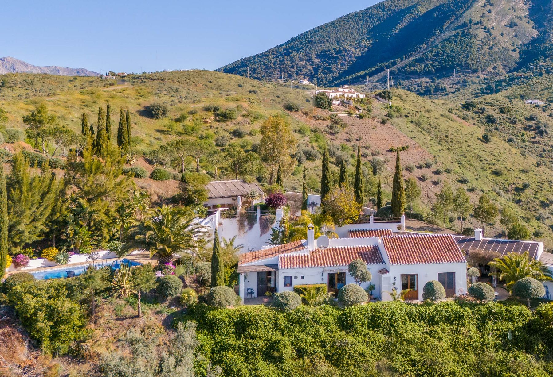 Blanco de Casa Andalucia Olivers Traves 01