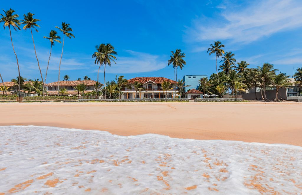 Tiree Tea House Southern Coast Olivers Travels 2