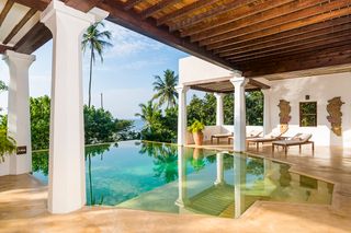 Palm Tree Paradise Southern Coast Olivers Travels 1