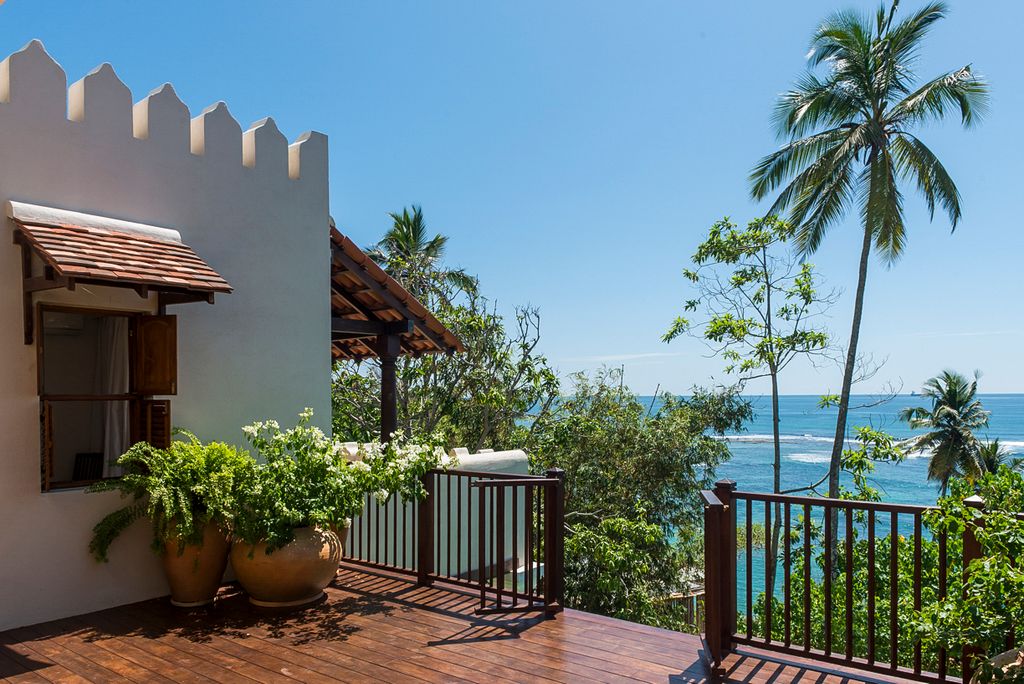 Palm Tree Paradise Southern Coast Olivers Travels 5