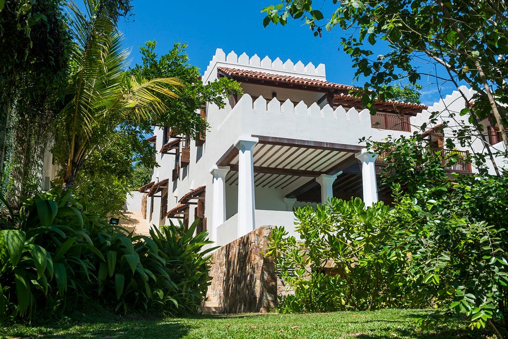 Palm Tree Gardens Southern Coast Olivers Travels 2