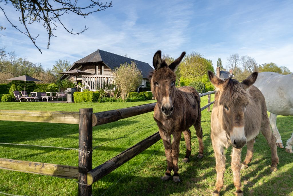 Maison de Prairie Normandy Francce OliversTravels 3