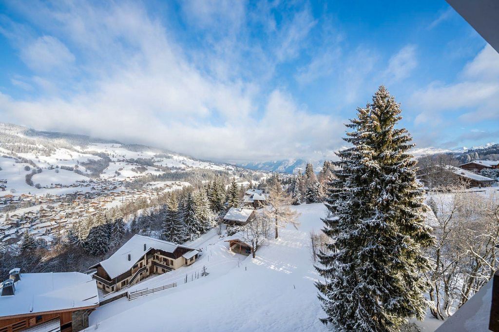 Apartment Snowshoe Megeve Olivers Travels 2