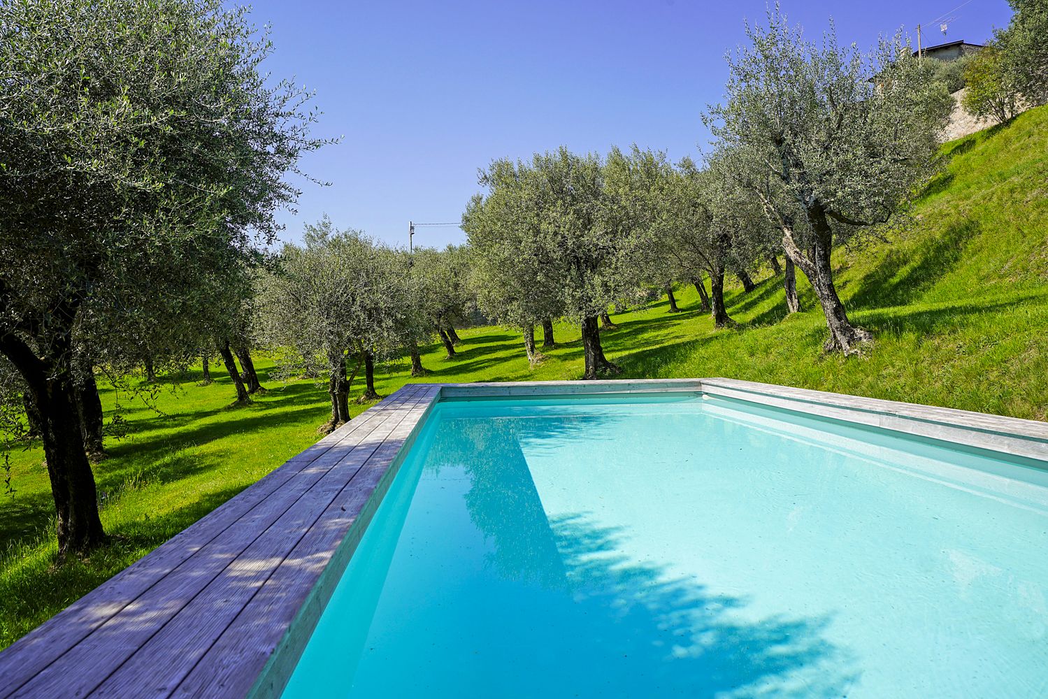 Villa Cartiera