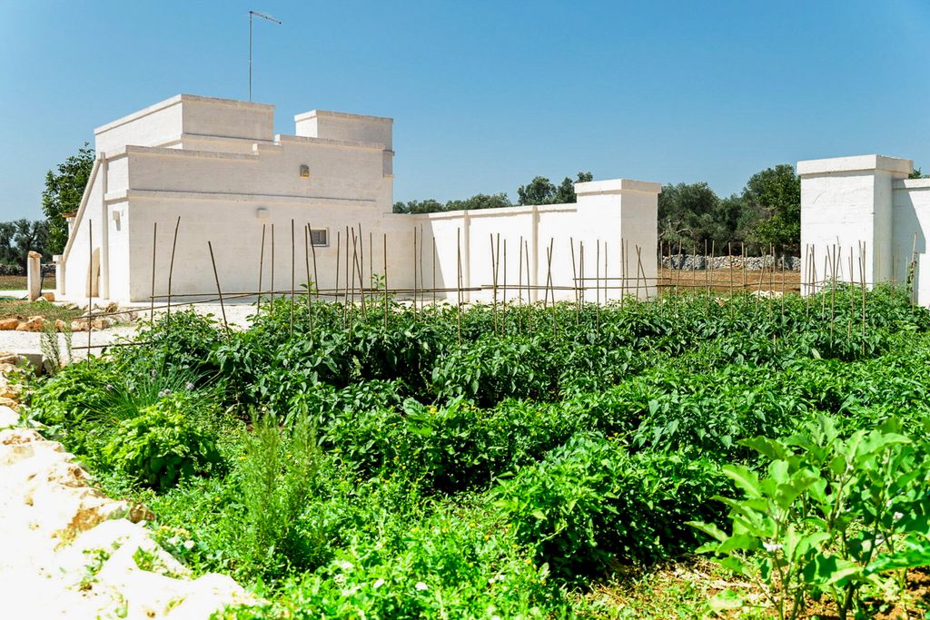 Casa Ludovica Puglia Olivers Travels 5