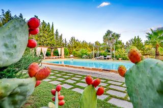 Masseria Nacrilli Puglia Olivers Travels 1