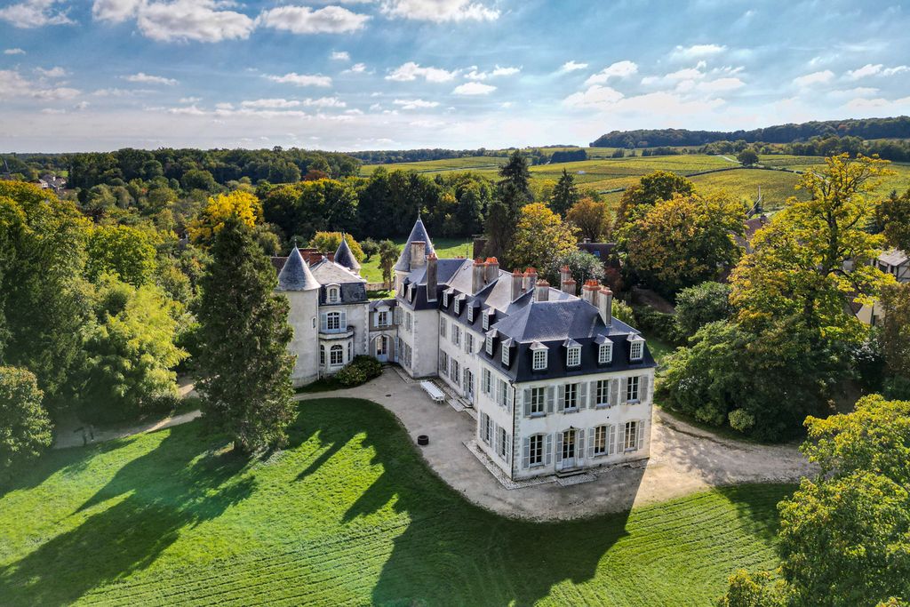 Chateau Coraline Loire Valley France Olivers Travels 1.1