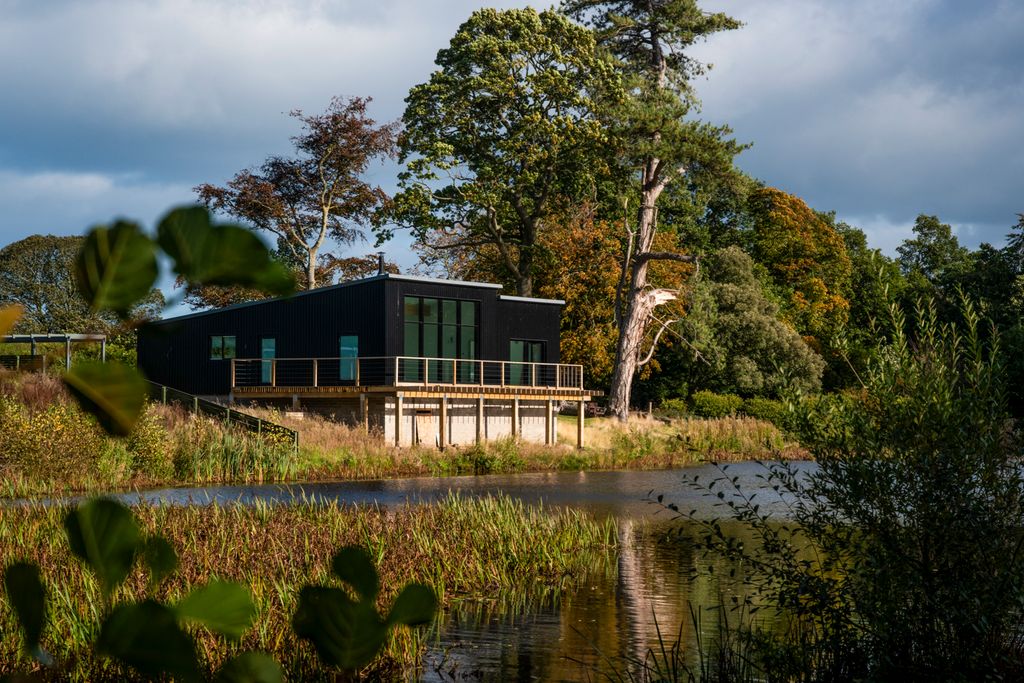 Little Cygnet Northumberland Olivers Travels 1