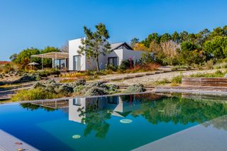 Comporta Blaze Comporta Olivers Travels 1