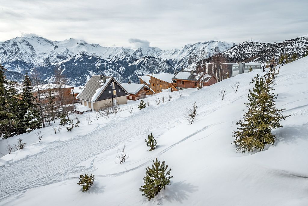 Apartment Viel Alpe DHuez Olivers Travels 2