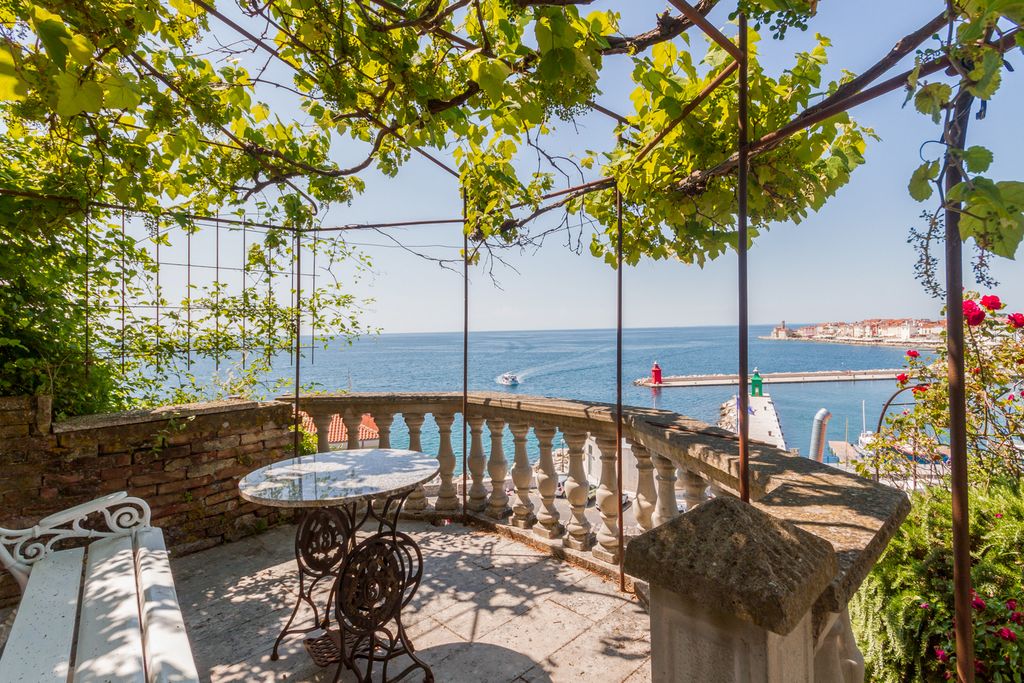 Punta House Piran Olivers Travels 2