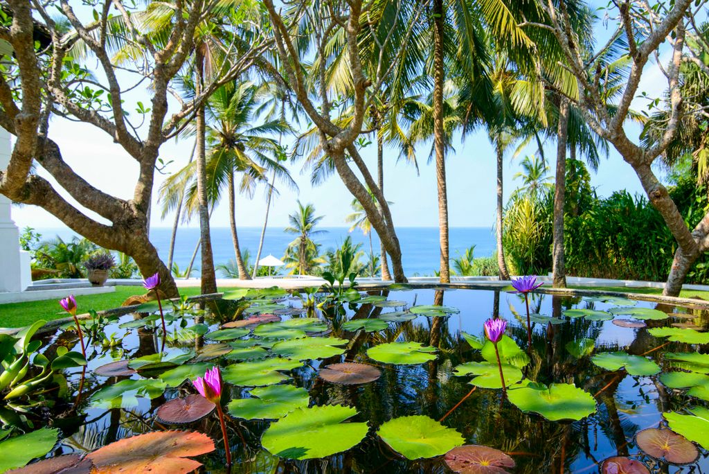 Turtle House Sri Lanka Olivers Travels 5