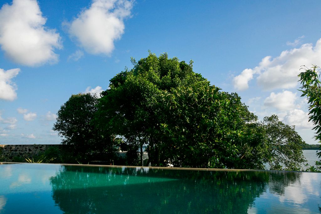 Vine House Sri Lanka Olivers Travels 5