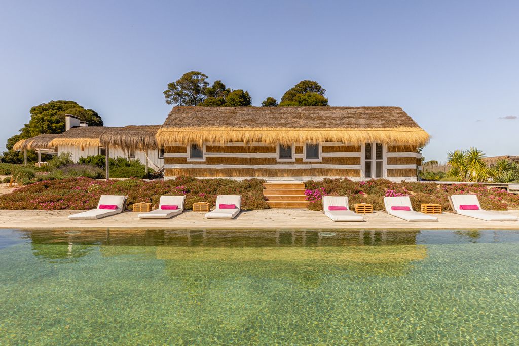 Coastal Tree Haven Lisbon Coast Olivers Travels 01