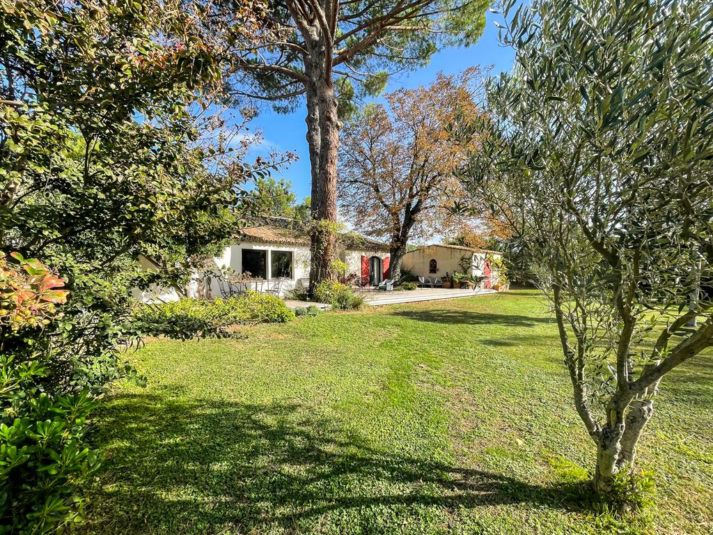Les Opies Provence Olivers Travels 5