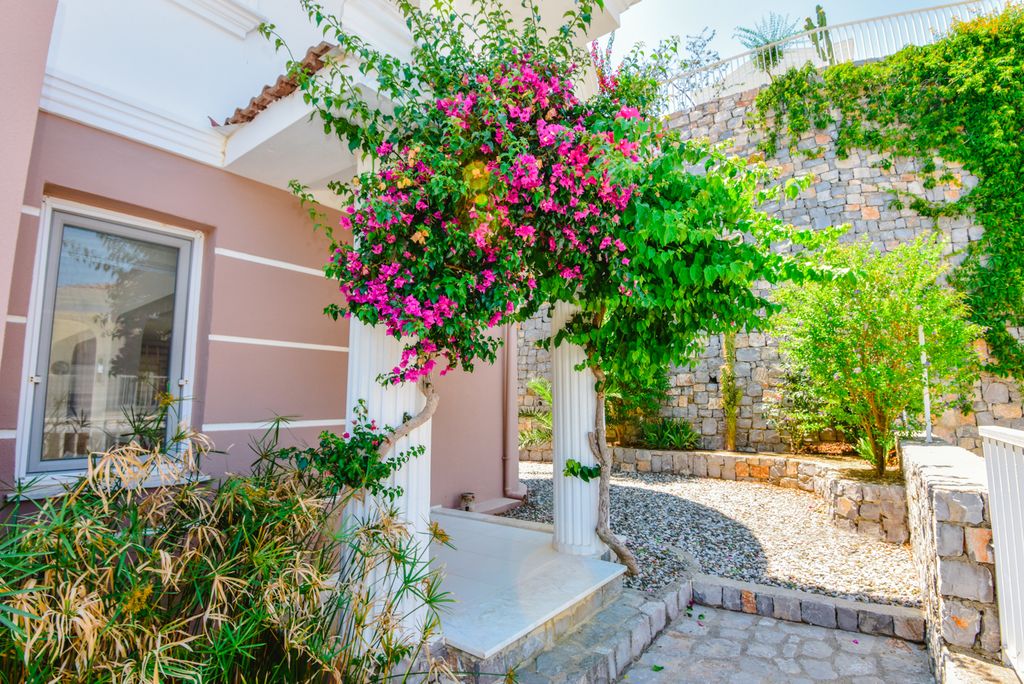 Villa Saricay Dalyan Olivers Travels 7