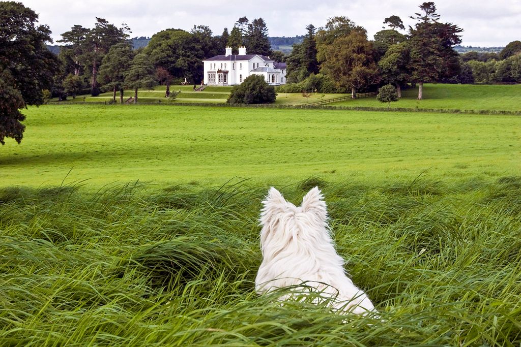 Park Manor Ireland OliversTravels 2