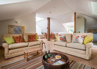 Buckwheat South East Olivers Travels 1