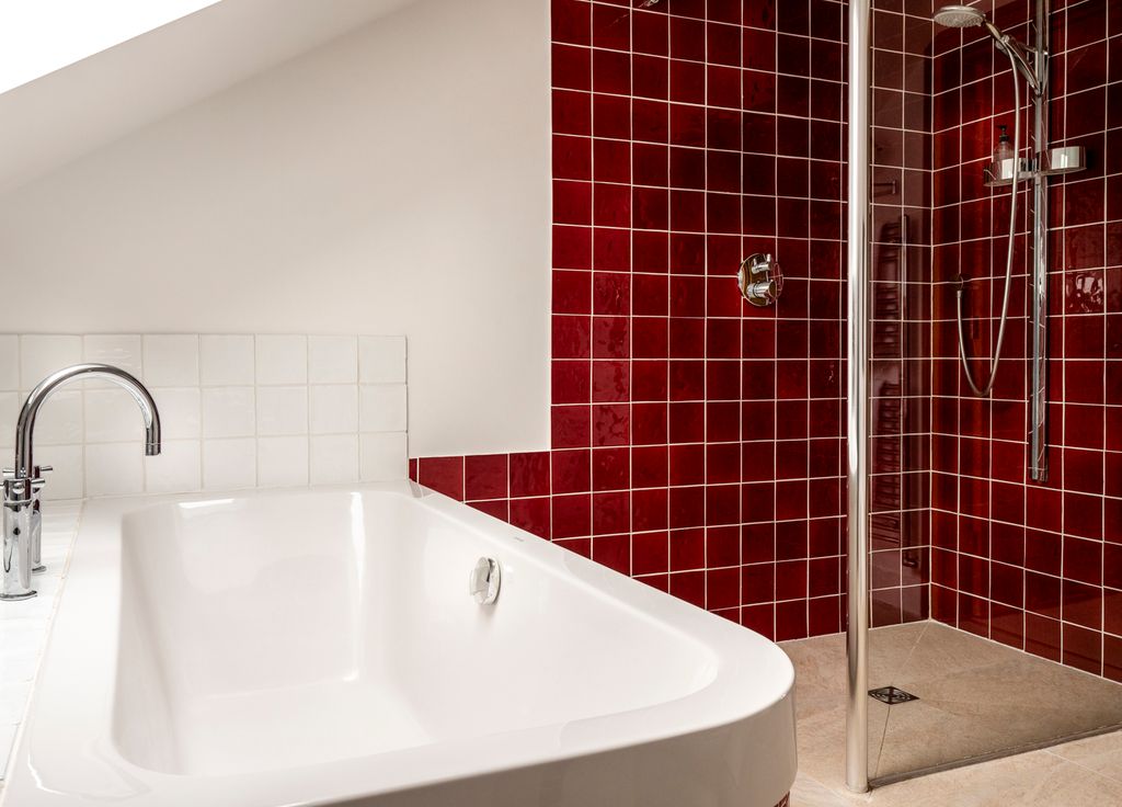 Buckwheat South East Olivers Travels 5