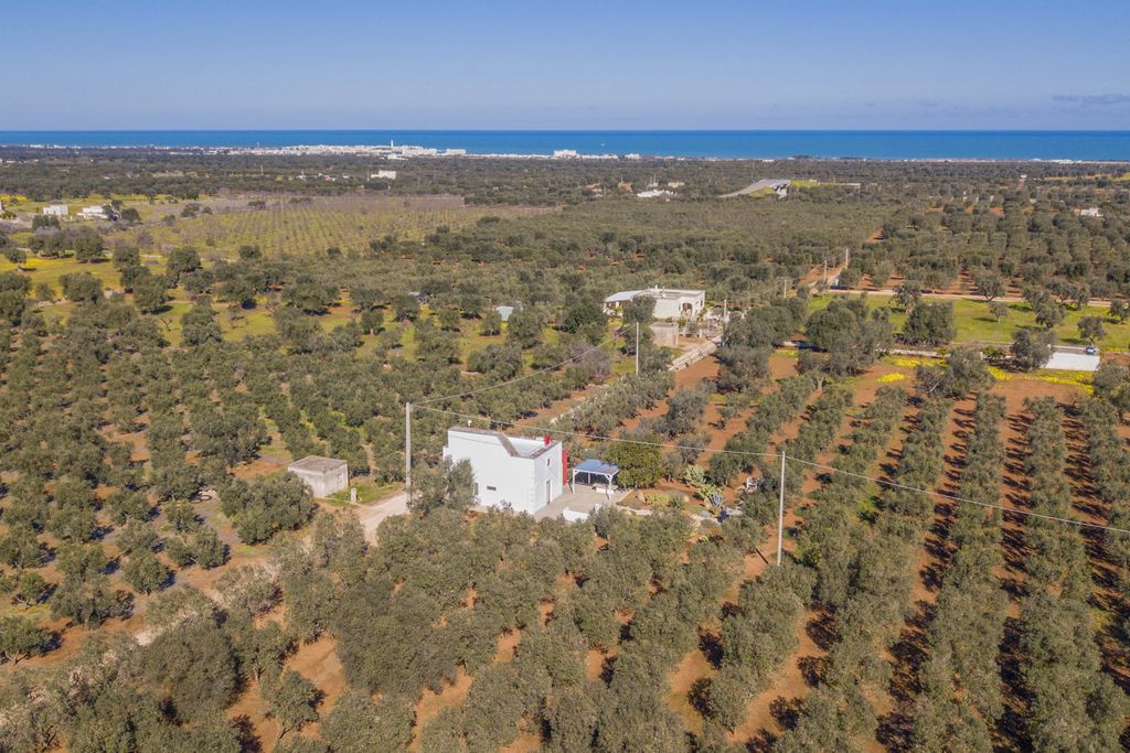 Dimora Mileto Puglia Olivers Travels 2