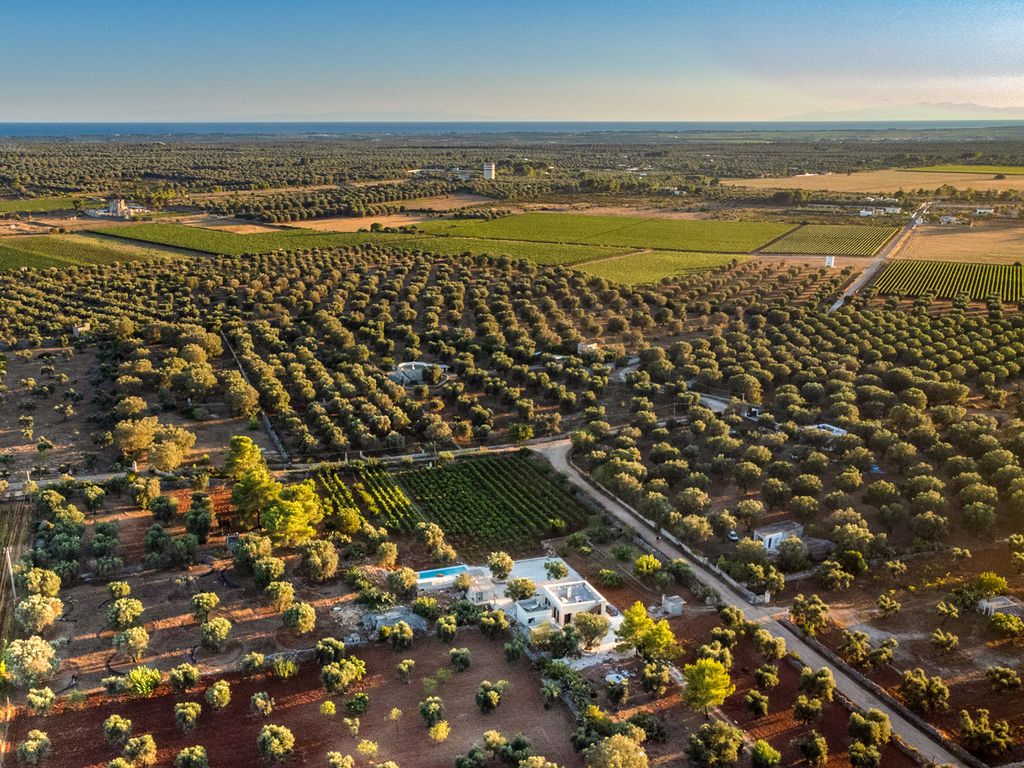 Villa Manduria Puglia Olivers Travels 2