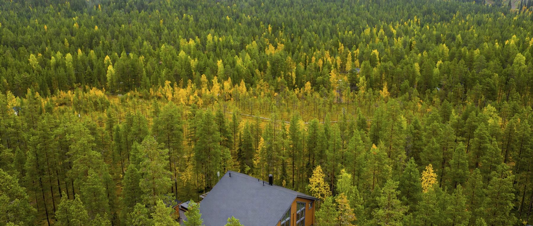 001 villa immi finnish lapland olivers travels desktop center