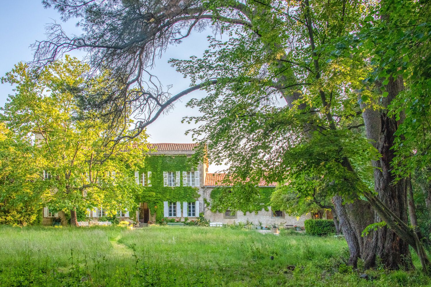 Domaine Vidal