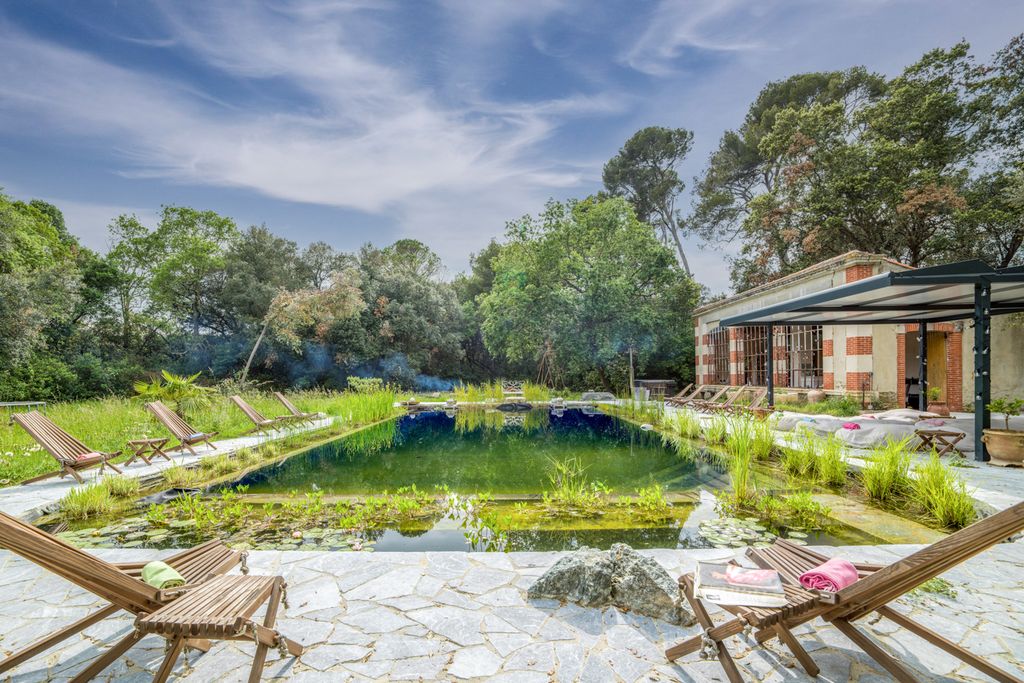 Domaine Vidal Langedoc Olivers Travels2