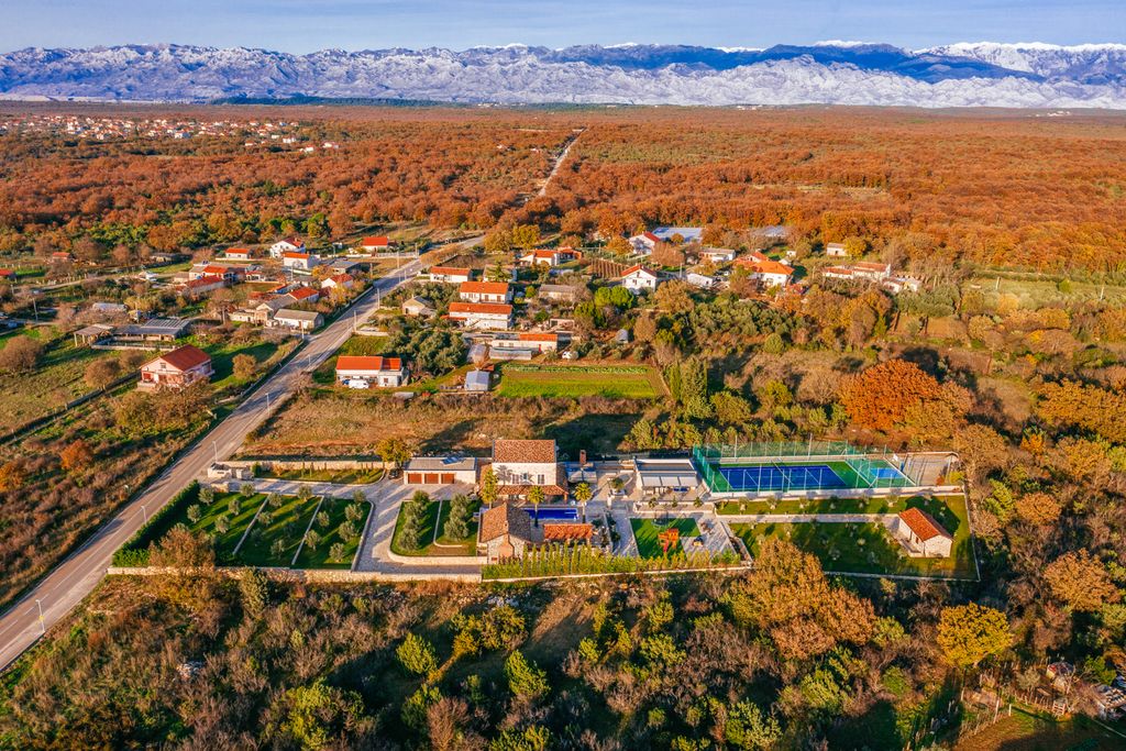 Villa Zola Dalmatia Olivers Travels 2