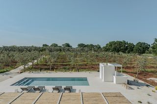 Villa Mandorli Puglia Olivers Travels 15