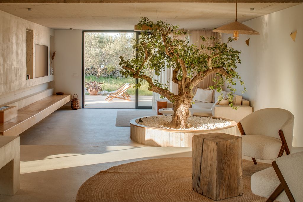 Villa Renee Dalmatia Islands Olivers Travels 3
