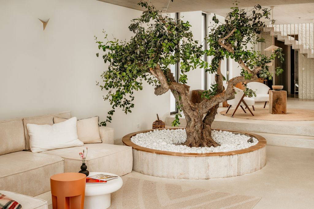 Villa Renee Dalmatia Islands OliversTravels 4