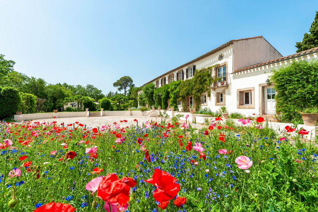 Domaine des Pavots Languedoc Olivers Travels 1