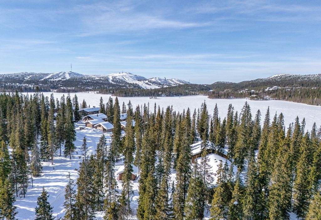 Villa Kodi Finland Olivers Travels 2