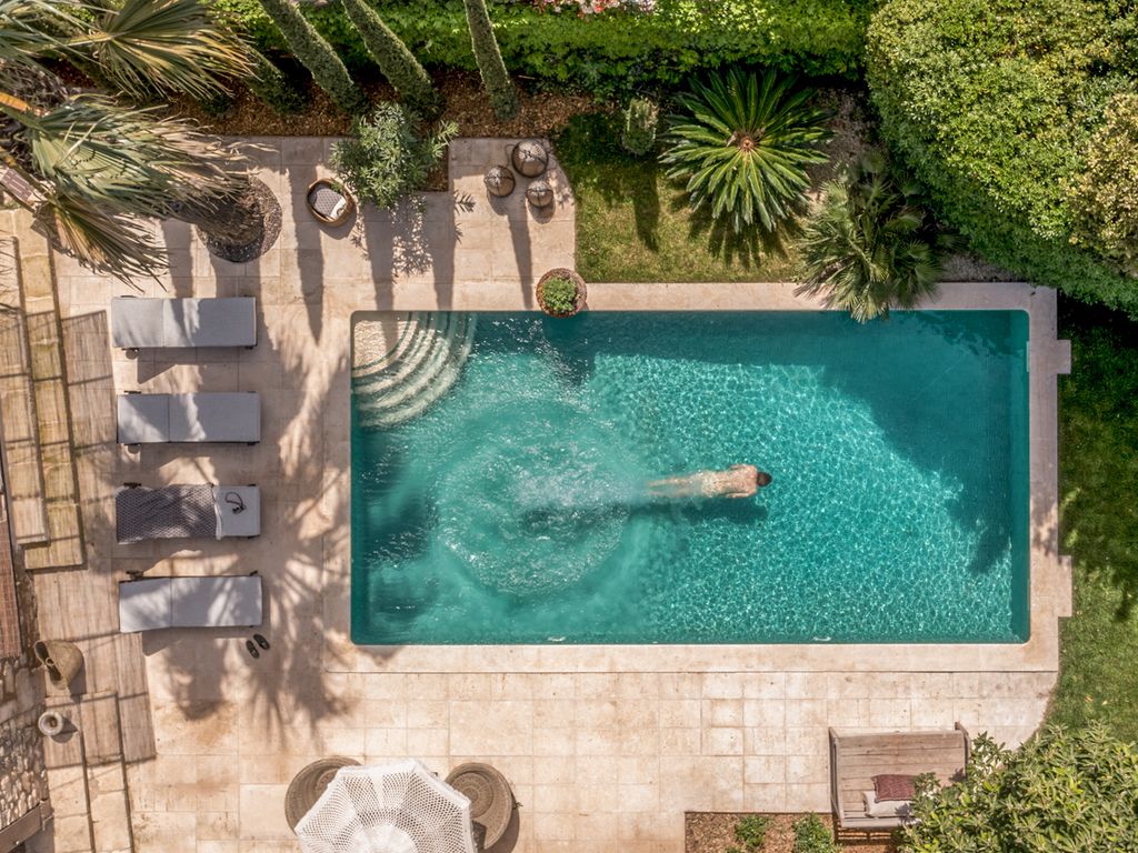 L Olive Verte Provence Olivers Travels 1